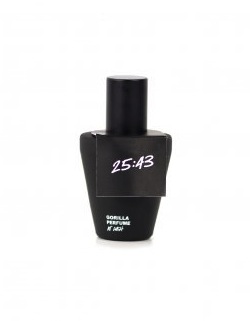 springtimerighttime04