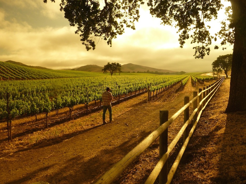 ©Santa Barbara Vintners Weekend