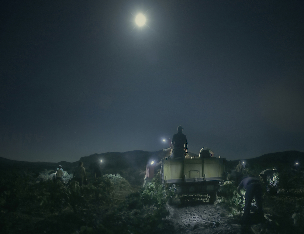 ©Pago los Balancines