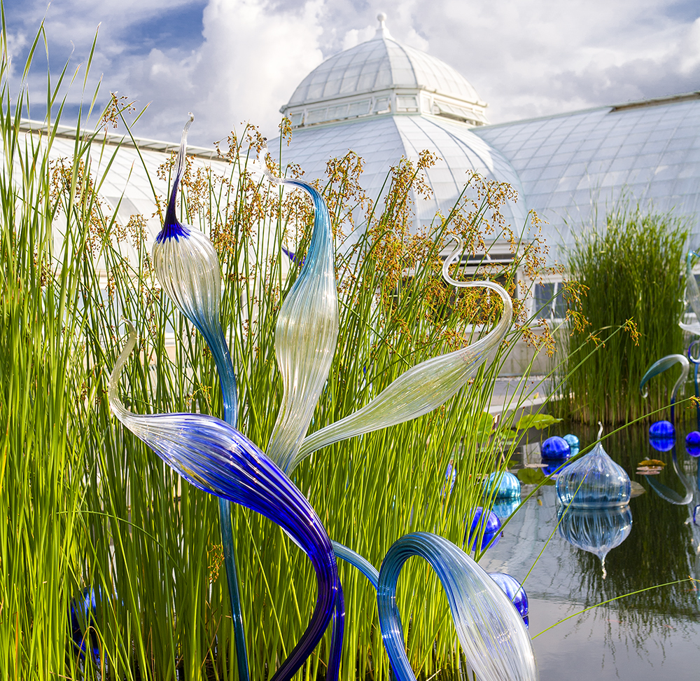 "Blue Herons" by Dale Chihuly, 2006 ©Chihuly at the New York Botanical Garden