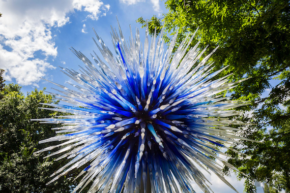 "Sapphire Star" 2016 by Dale Chihuly ©Chihuly at Atlanta Botanical Garden