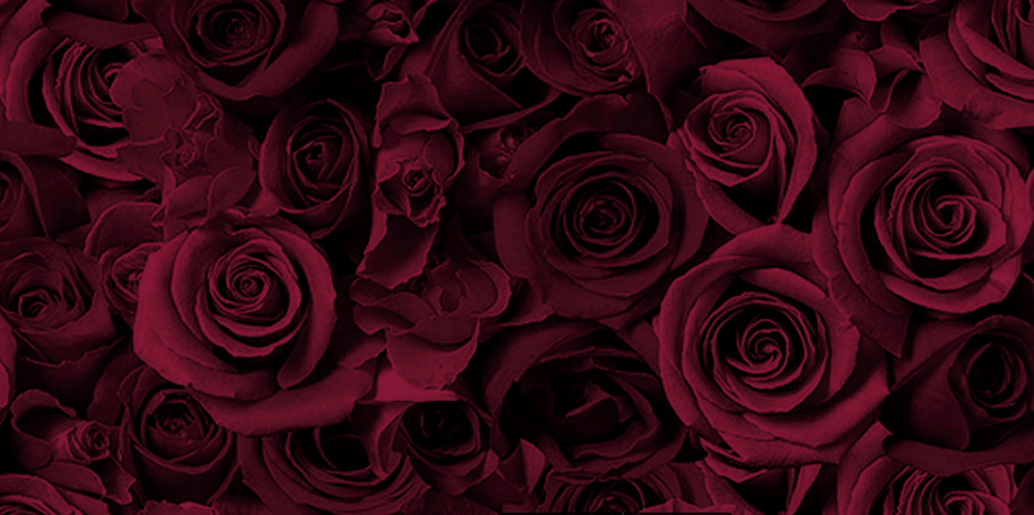 Eau de Rose ©Tadashi Shoji